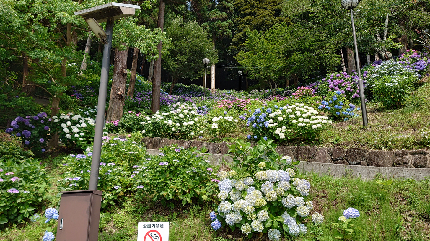 秋葉公園