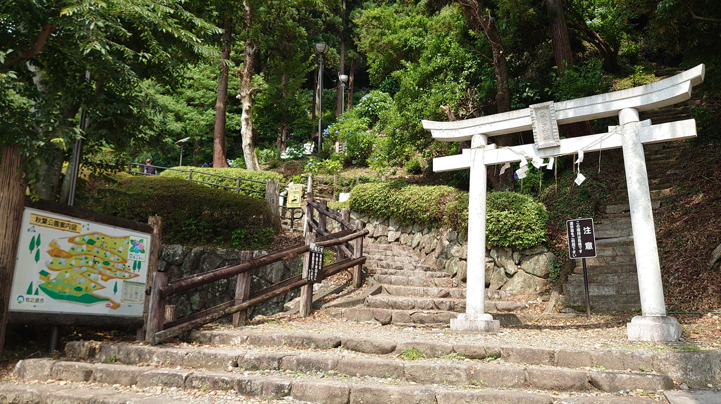 秋葉公園