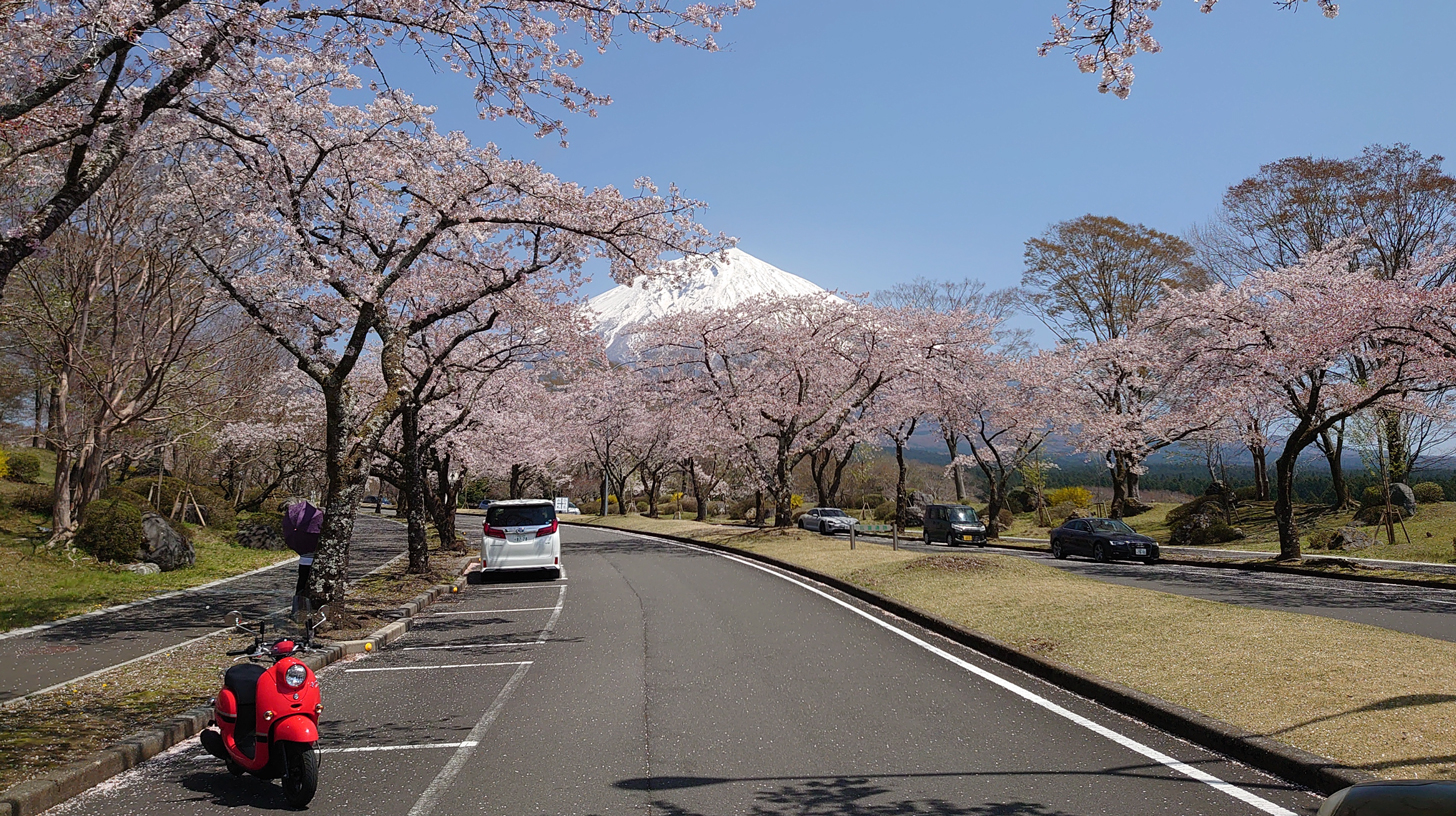 東部エリア