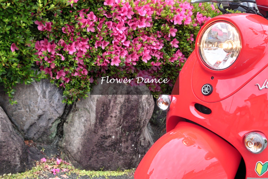 Flower Dance