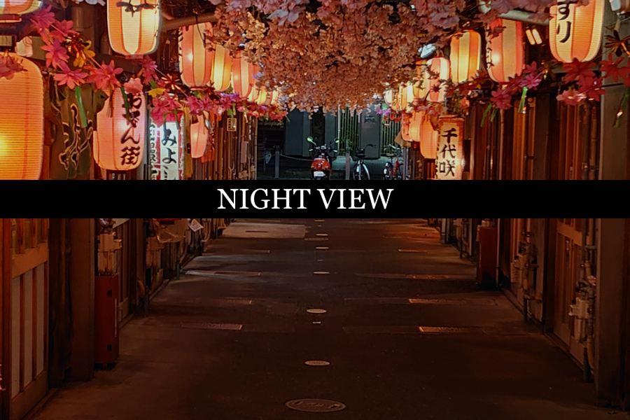 Night View